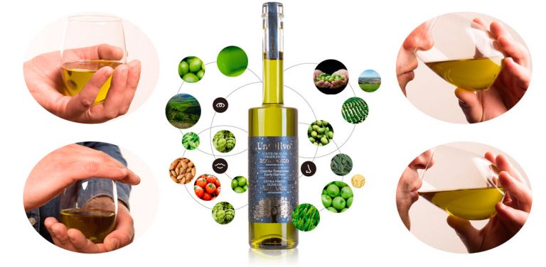 Lee más sobre el artículo Guía de cata del aceite de oliva temprano: todo lo que debes saber